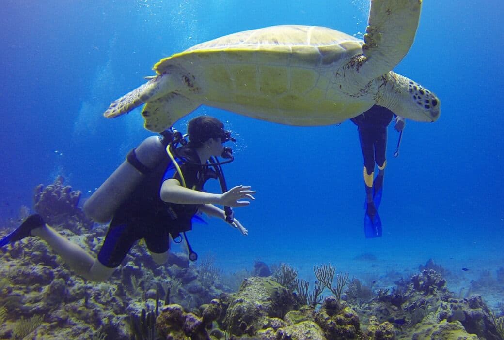 VIDEO: Cuba's Watery World